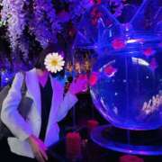 ヒメ日記 2025/07/03 14:30 投稿 すずらん 奥鉄オクテツ東京店（デリヘル市場）