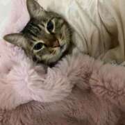 ヒメ日記 2026/03/26 01:36 投稿 あお 変態なんでも鑑定団