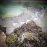 ヒメ日記 2025/05/10 18:03 投稿 ゆみ モアグループ熊谷人妻花壇