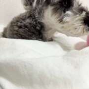 ヒメ日記 2025/02/08 09:24 投稿 MISACHI GINGIRA☆TOKYO～ギンギラ東京～