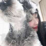 ヒメ日記 2025/02/08 13:24 投稿 MISACHI GINGIRA☆TOKYO～ギンギラ東京～