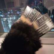 ヒメ日記 2025/12/23 02:55 投稿 MISACHI GINGIRA☆TOKYO～ギンギラ東京～