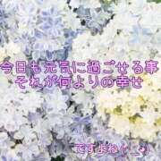 ヒメ日記 2024/06/26 09:43 投稿 こと デリバリーヘルス埼玉人妻