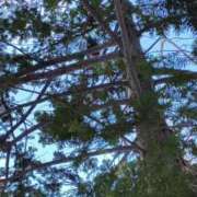 ヒメ日記 2025/01/05 14:19 投稿 望月　さりな しこたま奥様 札幌店