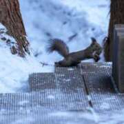 ヒメ日記 2025/01/05 23:55 投稿 望月　さりな しこたま奥様 札幌店