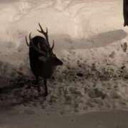 ヒメ日記 2025/02/09 18:05 投稿 望月　さりな しこたま奥様 札幌店