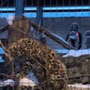 ヒメ日記 2025/02/09 18:55 投稿 望月　さりな しこたま奥様 札幌店