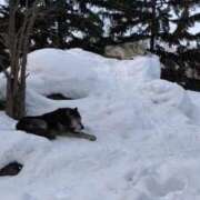 ヒメ日記 2025/02/10 15:55 投稿 望月　さりな しこたま奥様 札幌店