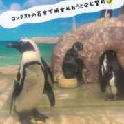 ヒメ日記 2025/02/22 17:55 投稿 望月　さりな しこたま奥様 札幌店