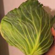 ヒメ日記 2025/02/26 23:25 投稿 望月　さりな しこたま奥様 札幌店