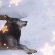 ヒメ日記 2025/03/01 00:25 投稿 望月　さりな しこたま奥様 札幌店