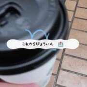 ヒメ日記 2025/03/06 11:25 投稿 望月　さりな しこたま奥様 札幌店