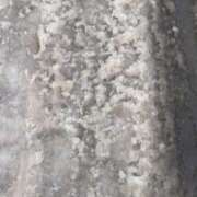 ヒメ日記 2025/03/06 14:35 投稿 望月　さりな しこたま奥様 札幌店