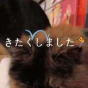 ヒメ日記 2025/03/12 01:45 投稿 望月　さりな しこたま奥様 札幌店