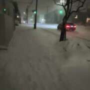 ヒメ日記 2025/03/14 20:35 投稿 望月　さりな しこたま奥様 札幌店