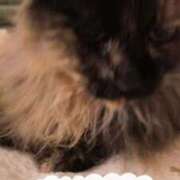 ヒメ日記 2025/03/19 23:55 投稿 望月　さりな しこたま奥様 札幌店