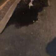 ヒメ日記 2025/03/24 20:05 投稿 望月　さりな しこたま奥様 札幌店