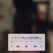 ヒメ日記 2025/04/05 00:45 投稿 望月　さりな しこたま奥様 札幌店