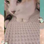 ヒメ日記 2025/04/10 22:07 投稿 望月　さりな しこたま奥様 札幌店