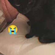 ヒメ日記 2025/04/13 22:36 投稿 望月　さりな しこたま奥様 札幌店