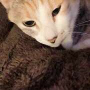 ヒメ日記 2025/04/19 06:55 投稿 望月　さりな しこたま奥様 札幌店