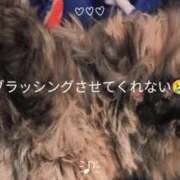 ヒメ日記 2025/05/07 20:52 投稿 望月　さりな しこたま奥様 札幌店