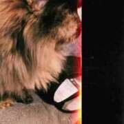 ヒメ日記 2025/05/10 23:05 投稿 望月　さりな しこたま奥様 札幌店