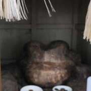 ヒメ日記 2025/05/14 17:19 投稿 望月　さりな しこたま奥様 札幌店