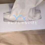 ヒメ日記 2025/05/28 01:35 投稿 望月　さりな しこたま奥様 札幌店