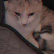 ヒメ日記 2025/06/13 22:33 投稿 望月　さりな しこたま奥様 札幌店