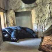 ヒメ日記 2025/06/20 22:12 投稿 望月　さりな しこたま奥様 札幌店