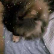 ヒメ日記 2025/06/21 08:55 投稿 望月　さりな しこたま奥様 札幌店