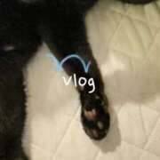 ヒメ日記 2025/07/06 03:05 投稿 望月　さりな しこたま奥様 札幌店