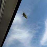 ヒメ日記 2025/08/03 13:45 投稿 望月　さりな しこたま奥様 札幌店