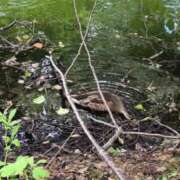 ヒメ日記 2025/08/04 12:25 投稿 望月　さりな しこたま奥様 札幌店