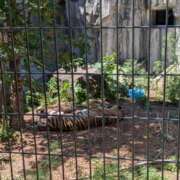 ヒメ日記 2025/08/13 13:25 投稿 望月　さりな しこたま奥様 札幌店