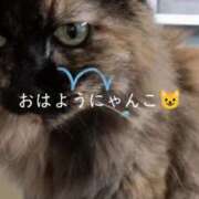 ヒメ日記 2025/08/26 12:55 投稿 望月　さりな しこたま奥様 札幌店