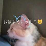 ヒメ日記 2025/08/27 13:45 投稿 望月　さりな しこたま奥様 札幌店