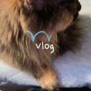 ヒメ日記 2025/09/02 18:25 投稿 望月　さりな しこたま奥様 札幌店