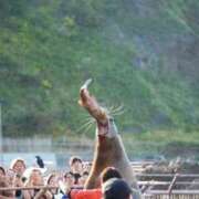 ヒメ日記 2025/09/16 14:55 投稿 望月　さりな しこたま奥様 札幌店