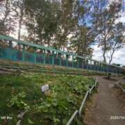 ヒメ日記 2025/10/06 17:55 投稿 望月　さりな しこたま奥様 札幌店