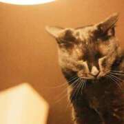 ヒメ日記 2025/10/21 23:45 投稿 望月　さりな しこたま奥様 札幌店