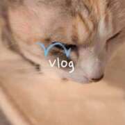 ヒメ日記 2025/10/22 22:25 投稿 望月　さりな しこたま奥様 札幌店