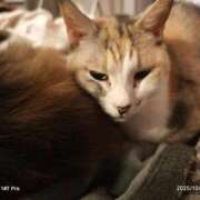 ヒメ日記 2025/10/28 23:55 投稿 望月　さりな しこたま奥様 札幌店