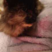 ヒメ日記 2025/11/03 23:25 投稿 望月　さりな しこたま奥様 札幌店