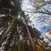 ヒメ日記 2025/11/04 23:19 投稿 望月　さりな しこたま奥様 札幌店