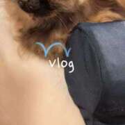 ヒメ日記 2025/11/05 22:25 投稿 望月　さりな しこたま奥様 札幌店