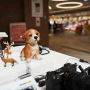 ヒメ日記 2025/11/25 22:55 投稿 望月　さりな しこたま奥様 札幌店