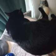 ヒメ日記 2025/12/09 13:35 投稿 望月　さりな しこたま奥様 札幌店