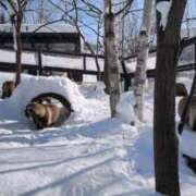 ヒメ日記 2026/02/09 14:56 投稿 望月　さりな しこたま奥様 札幌店